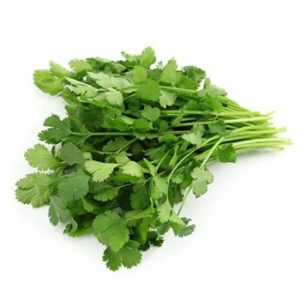 Organic Cilantro Extract