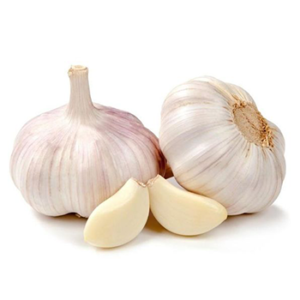 Deodorized Garlic Extract