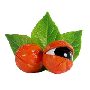 Organic Guarana Extract Caffeine