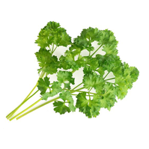 Organic Parsley Extract