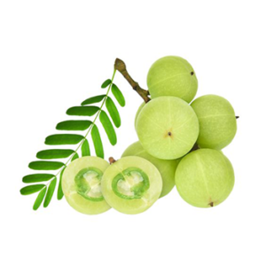 Amla Fruit Powder